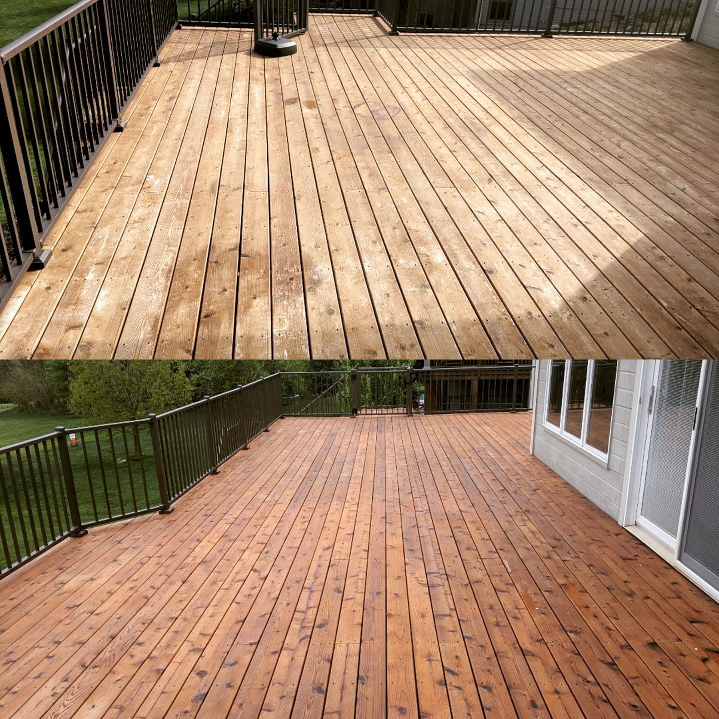 A freshly stained cedar deck in a warm honey tone, bordered by black railing and catching full afternoon sun.
