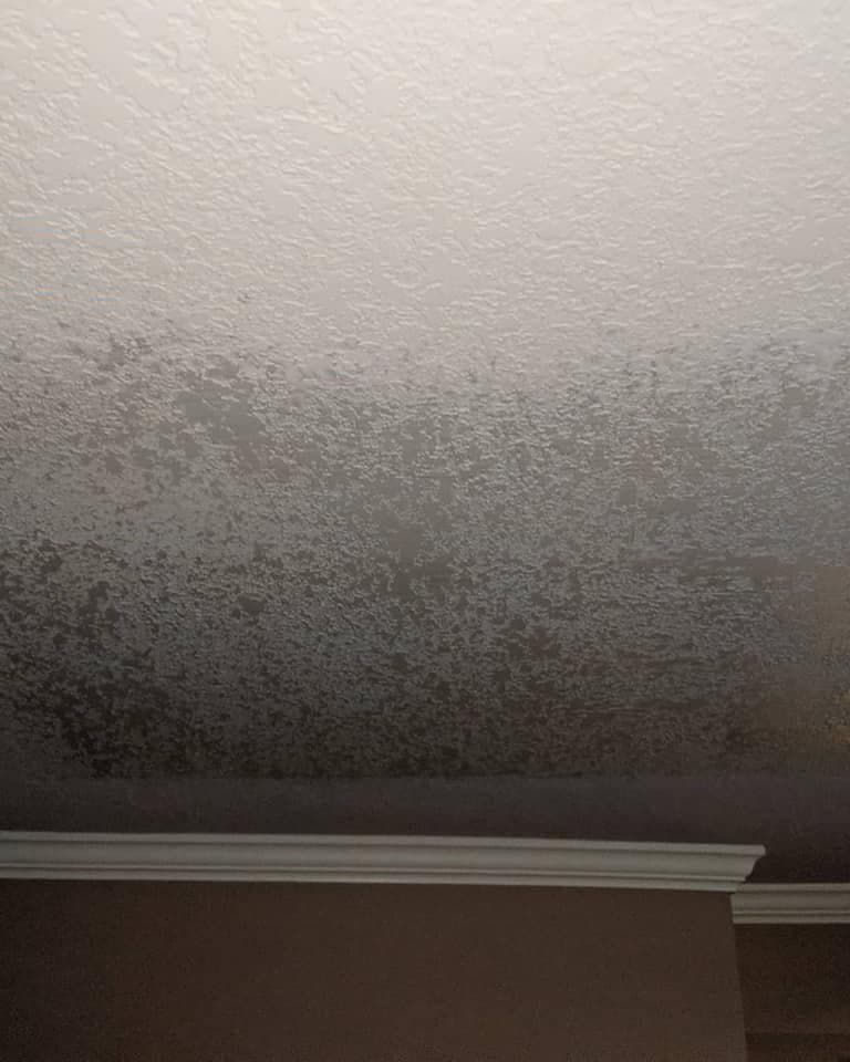Close view of a knockdown texture finish carried across a wall and ceiling to a painted crown moulding.