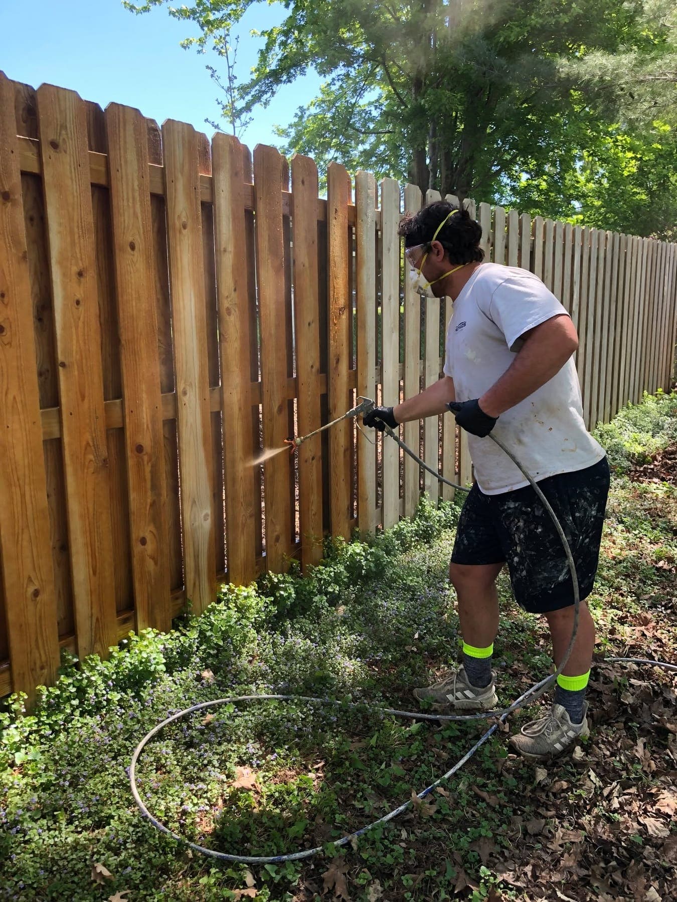 A cedar fence being stained with a sprayer