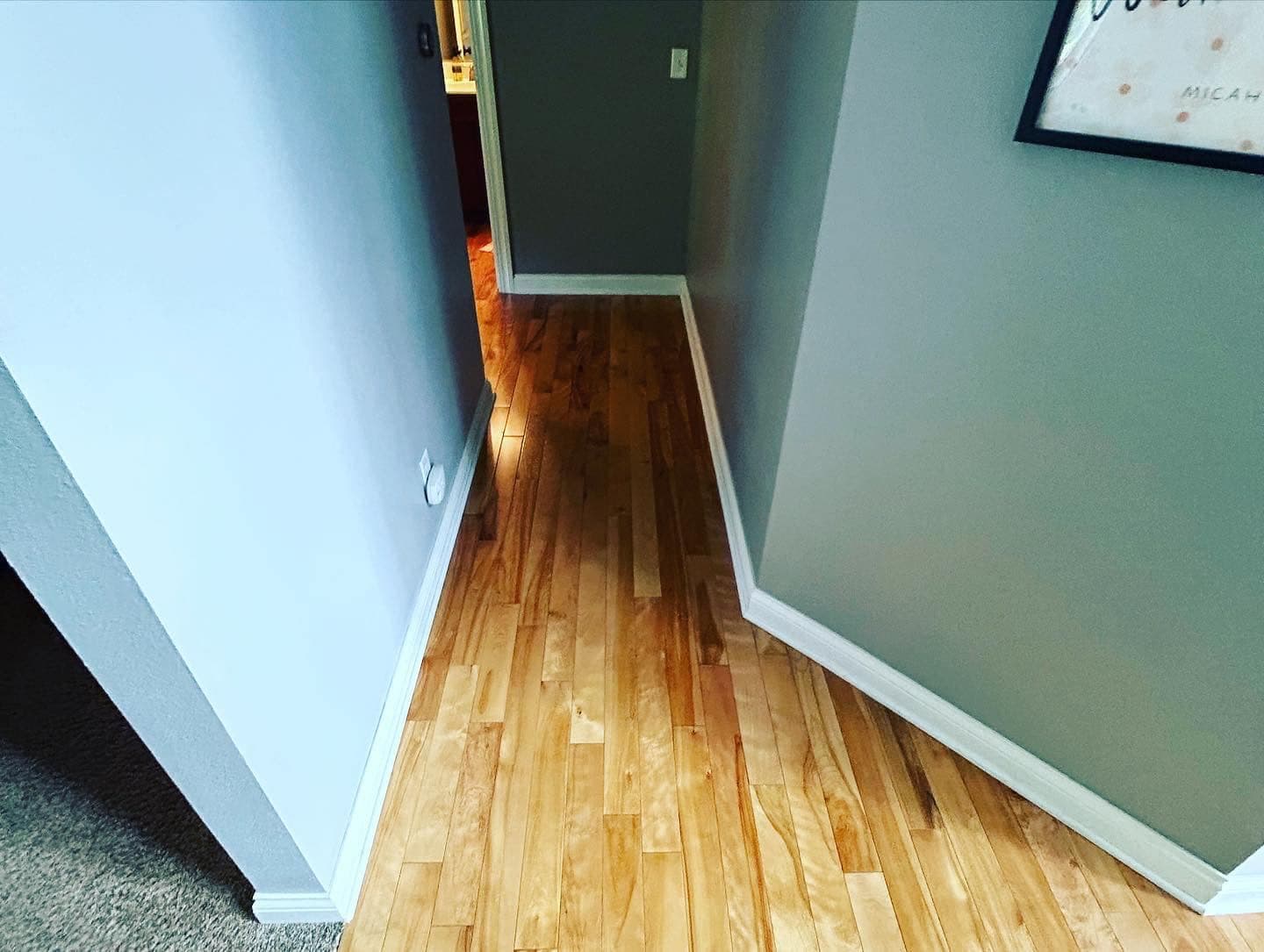 Newly installed hardwood flooring meeting white baseboard against a soft blue wall.